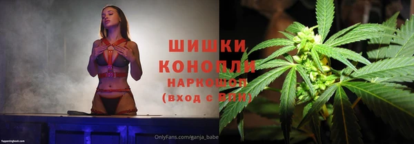 шишки Алексин